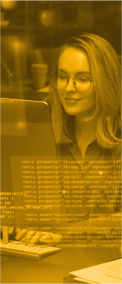 desenvolvedora e tecnologia da informação